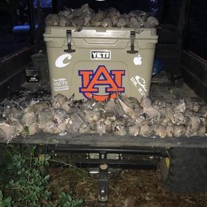 Meet your Posher, Ethan